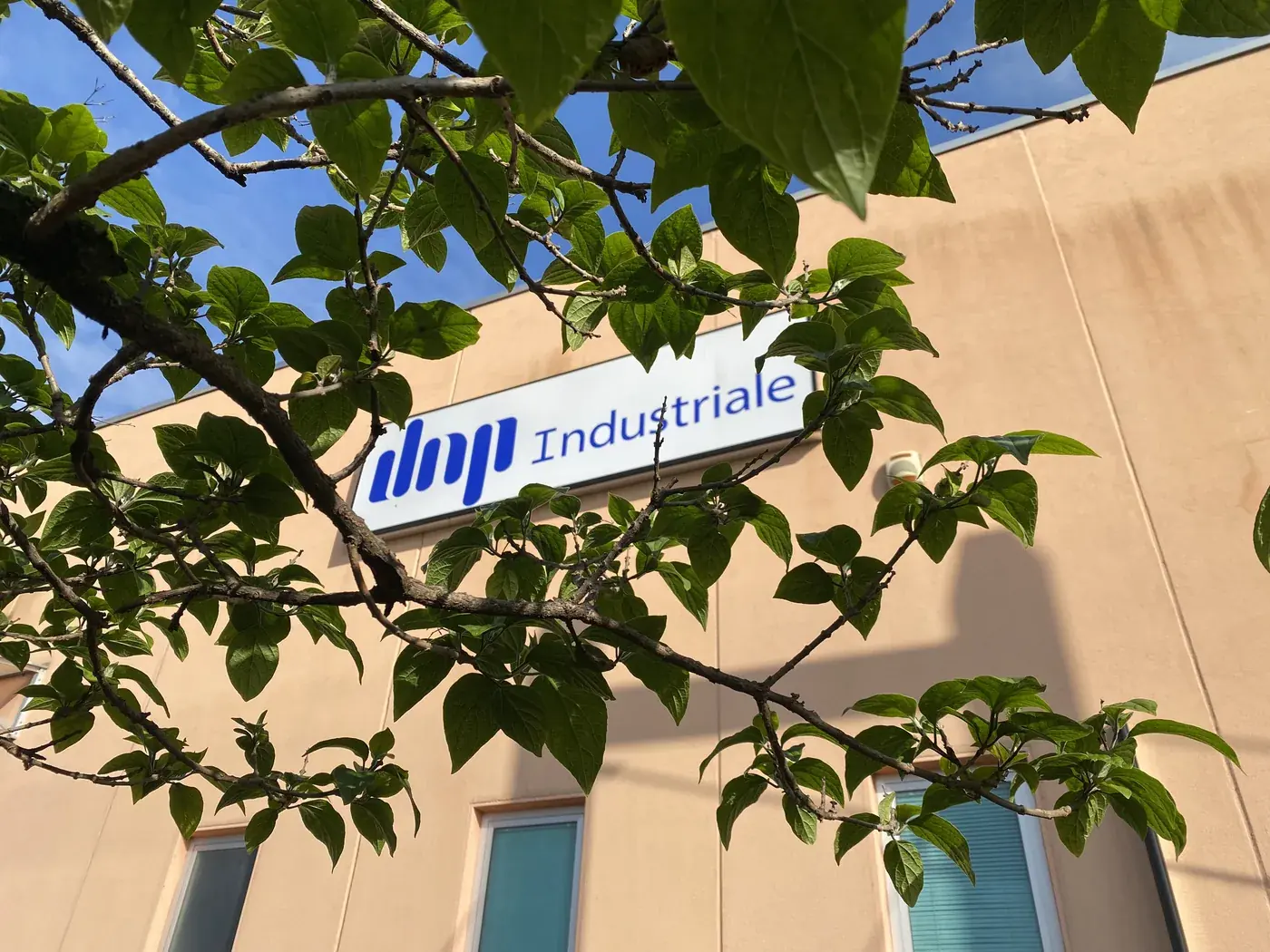 DNP &ndash; produktion