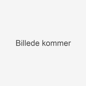 Overtryksventil 