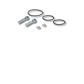 O-rings and bolts for 10820024878