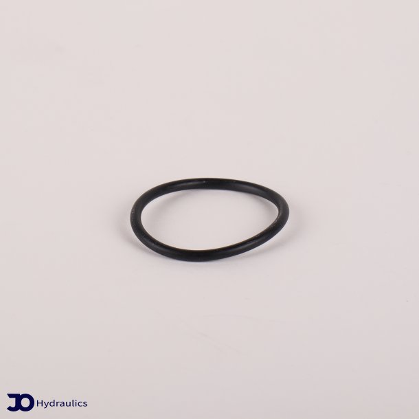 O-ring (3.53 X 44.45)