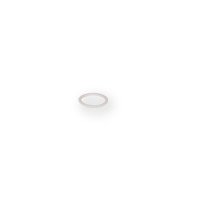 Backup Ring for PBV1.010