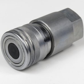 Lynkobling (Flat face) Hun