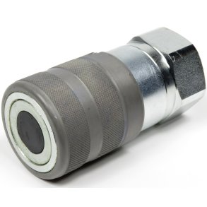 Lynkobling (Flat face) Hun